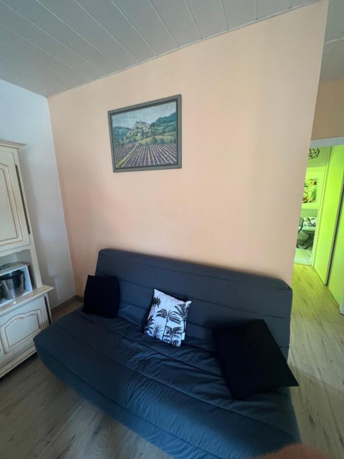 Grand F3 Vue Mer Centre Plage Proche Commerces Plage d'Argeles Exterior photo
