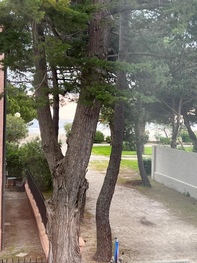 Grand F3 Vue Mer Centre Plage Proche Commerces Plage d'Argeles Exterior photo